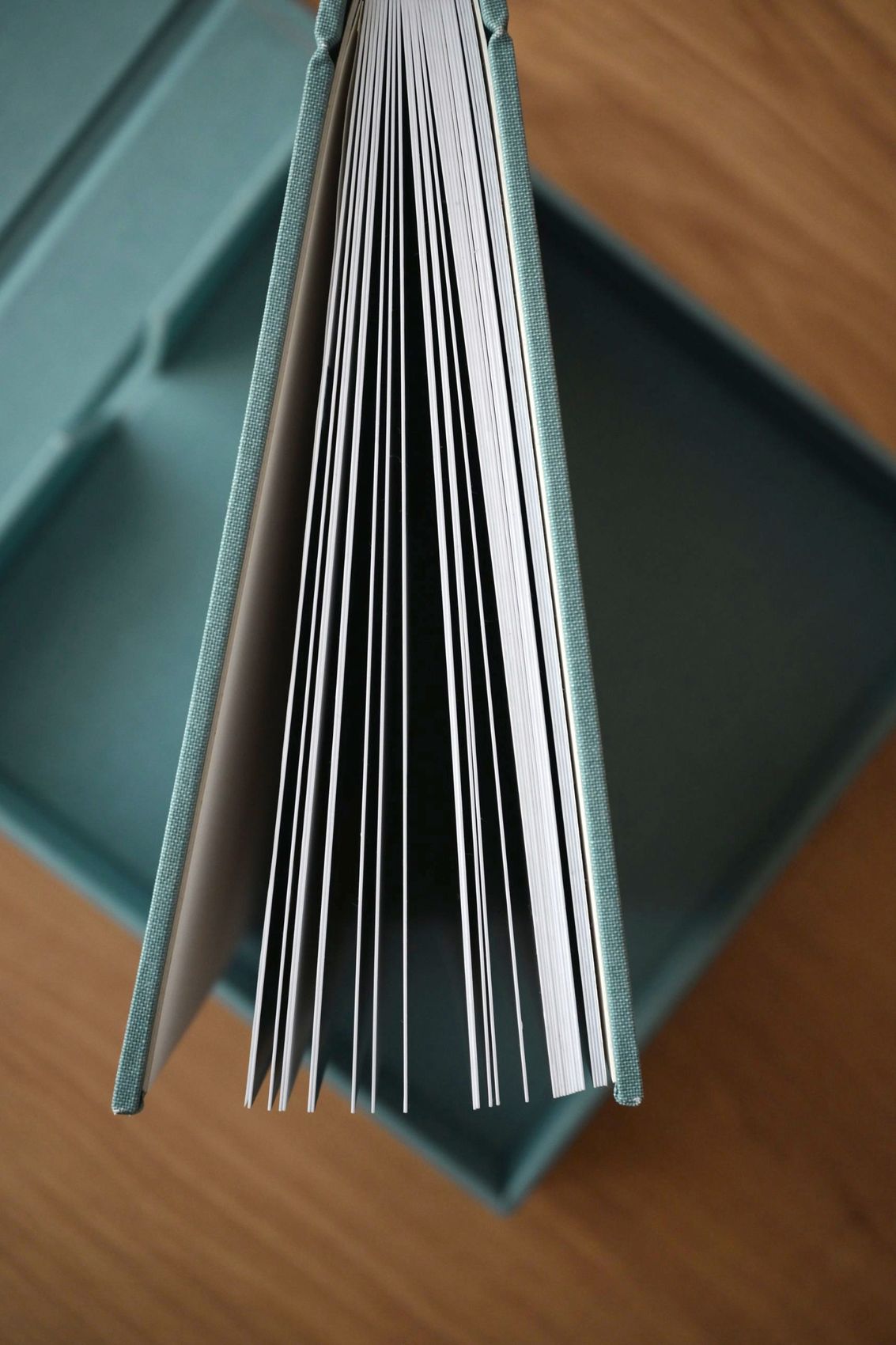 Thick rigid pages of the album fanned open
